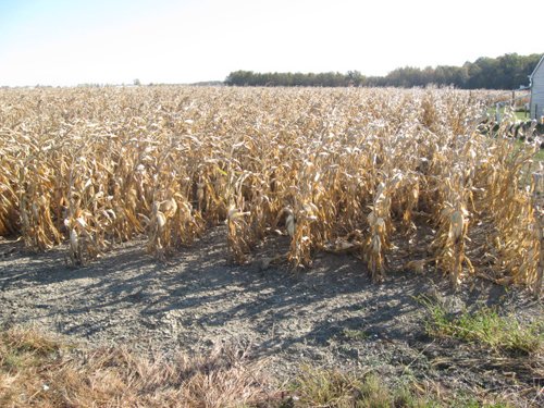 Property photo 10 - 65+/- Acres Offered in 2 Tracts